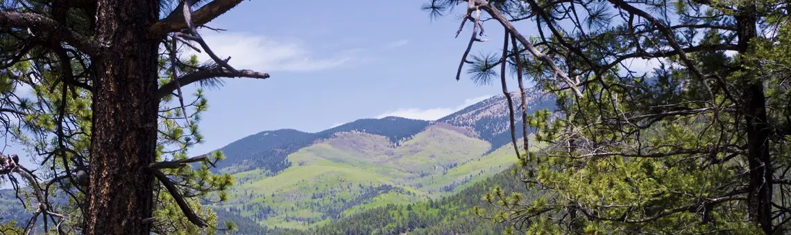 Hyde Memorial State Park